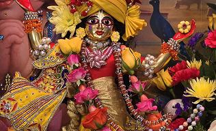 Festival gallery image 8